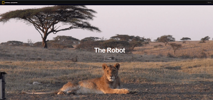 Interactive content example: National Geographic