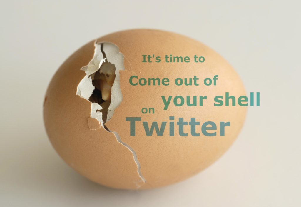 bird-hatch-egg-Twitter-come-out-shell