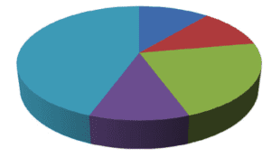 data presentation on pie chart