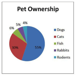 Data Visualization 101: Best Practices for Pie Charts and Bar Graphs