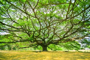 What Is Growth Marketing