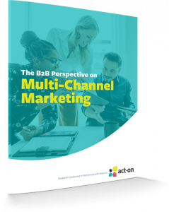 The B2B Perspective on Multi-Channel Marketing
